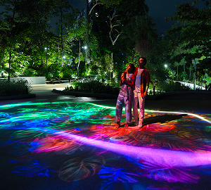 sound-and-light-experience-thumnail